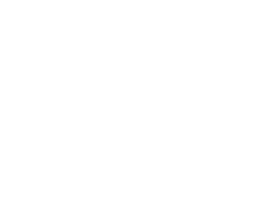 Arctic Leopard transparent png logo